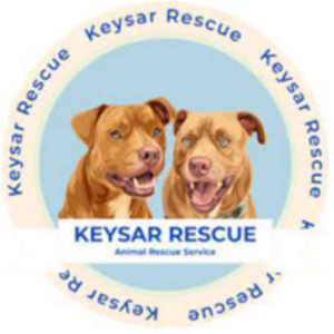 KEYSAR RESCUE Logo
