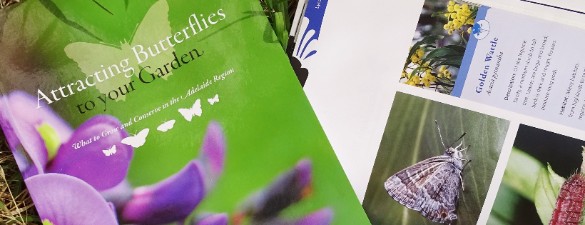 Butterfly Conservation SA Inc