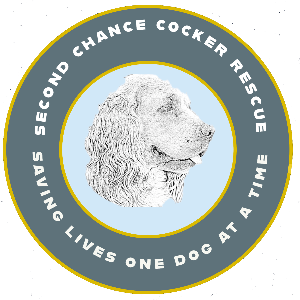 Second chance cocker rescue