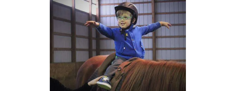 Heal with a Horse
