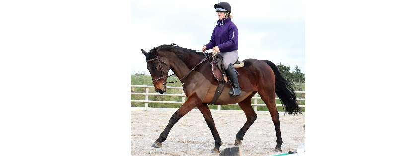 Racehorse Relief