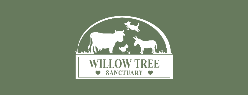 Willow Tree Sanctuary
