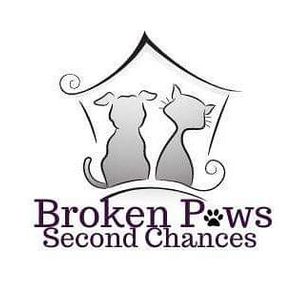 Broken Paws Second Chances