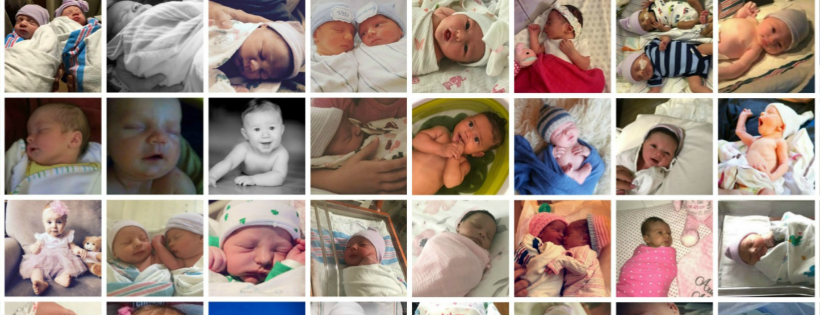 Baby Quest Foundation, Inc.