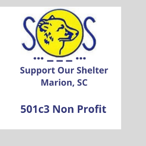 Support our Shelter 501c