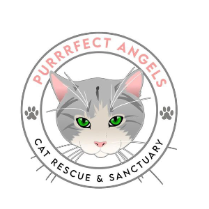 Purrrfect Angels cat rescue and sanctuary inc Logo