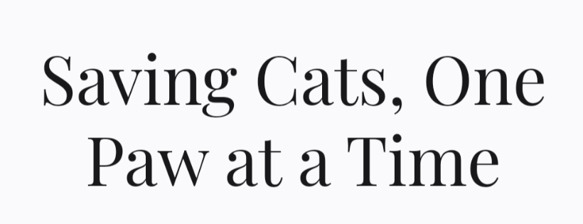 Cats Rescue & Welfare Aid