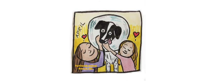 FurFriends Animal Rescue, INC.