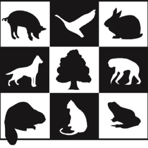 Animal Alliance Logo