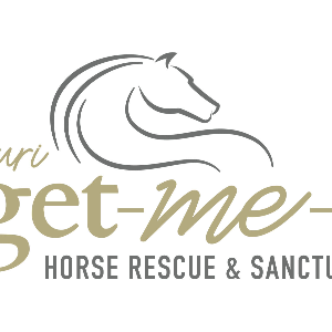 Forget-Me-Not Horse Rescue and Sanctuary