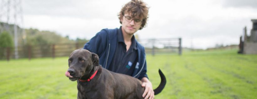 RSPCA Chesterfield and North Derbyshire