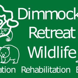 Dimmocks Retreat Wildlife Limited Logo