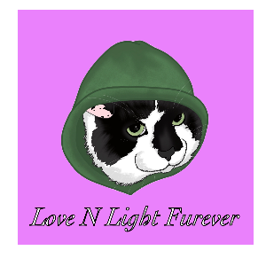 Love n light furever Logo