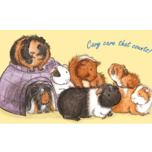 Auckland Cavy Care Rescue Logo