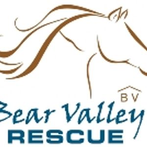 Bear Valley Horse Rescue