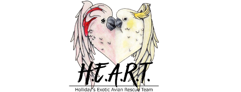 Holliday's Exotic Avian Rescue Team