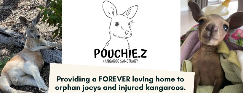 Pouchie.z Kangaroo Sanctuary