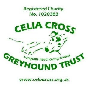 Celia Cross Greyhound Rescue