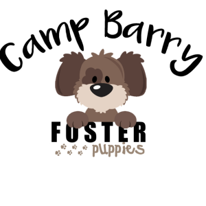 Camp Barry Logo