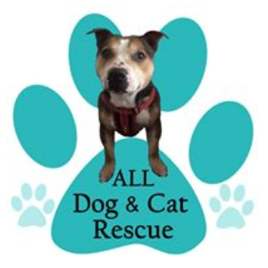 ALL Dog and Cat Rescue