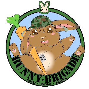 Bunny Brigade Inc. Logo
