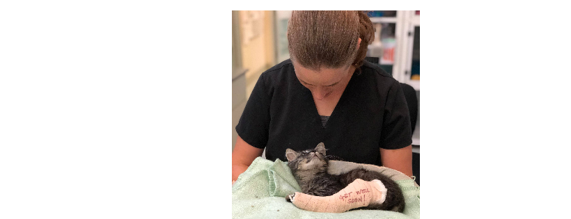 Operation Kindness