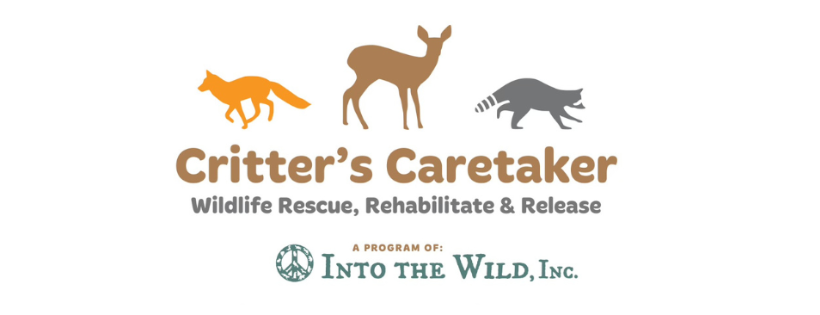 Into the Wild, Inc/Critter’s Caretaker