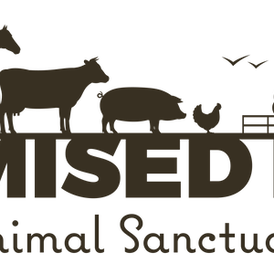 Promised Land Animal Sanctuary Logo