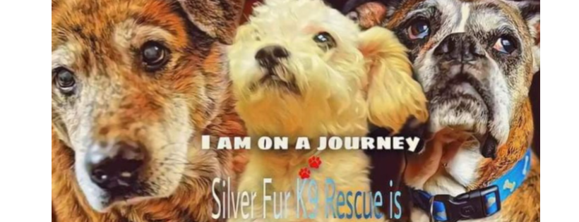 Silver Fur K9 Rescue