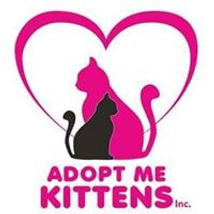 Adopt me Kittens Logo