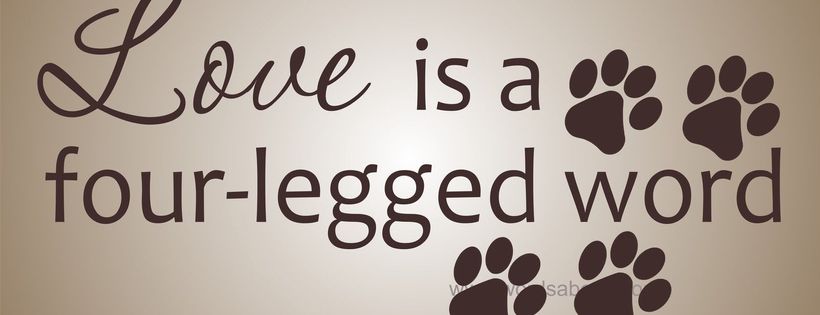 Bolton Destitute Animal Shelter