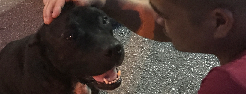 Whispaws Animal Sanctuary