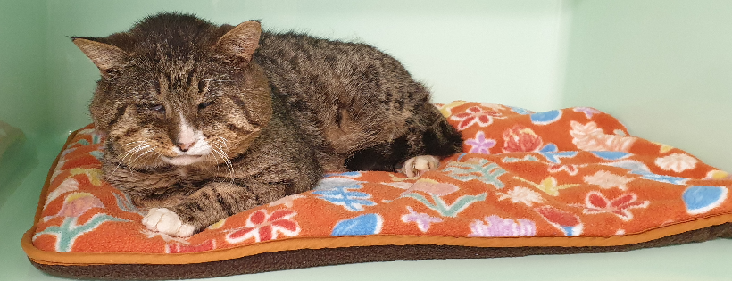Coast Pet Care Charitable Trust