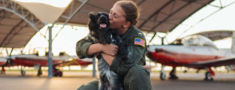 Dogs on Deployment