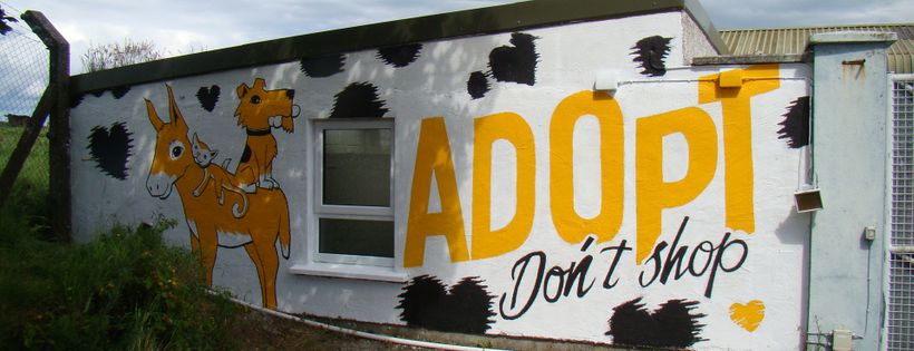 Wicklow SPCA