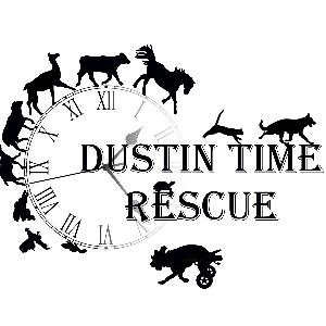 Dustin Time Rescue Logo