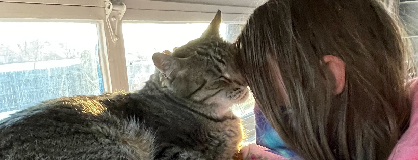 Animal Assisted Therapy Programs of Colorado