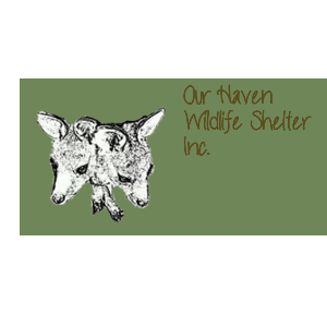 Our Haven Wildlife Shelter Inc