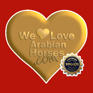 We LOVE Arabian Horses Inc. Logo