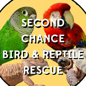 second chance bird and reptile rescue Logo