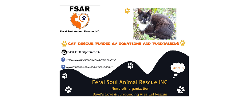 FSAR - Feral Soul Animal Rescue