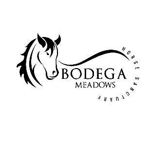Bodega Meadows Horse Sanctuary Logo