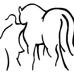BC Standardbred Horse Adoption society
