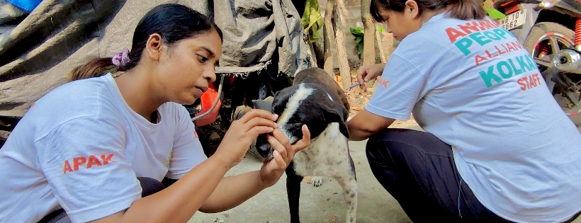 Animal People Alliance