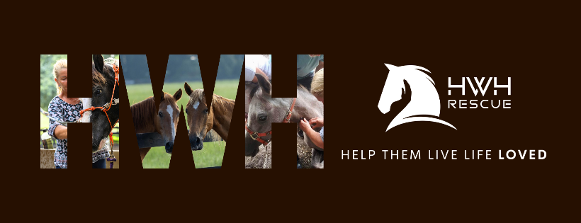 Horses Without Humans Rescue