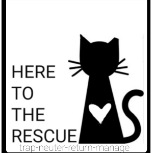 Here to the Rescue Logo