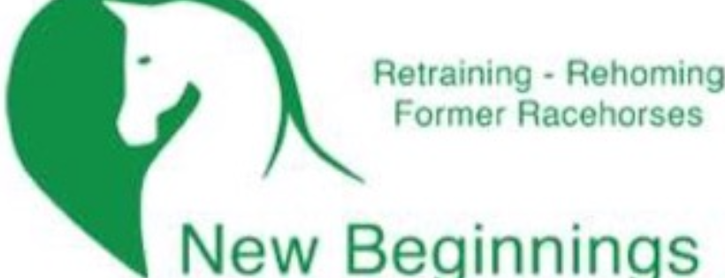 New Beginnings Horses