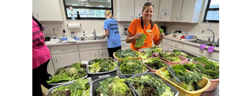 Florida Wildlife Hospital and Sanctuary