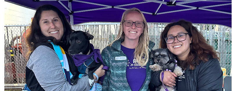 Animal Friends Rescue Project