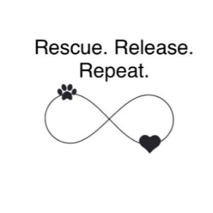 Rescue. Release. Repeat.